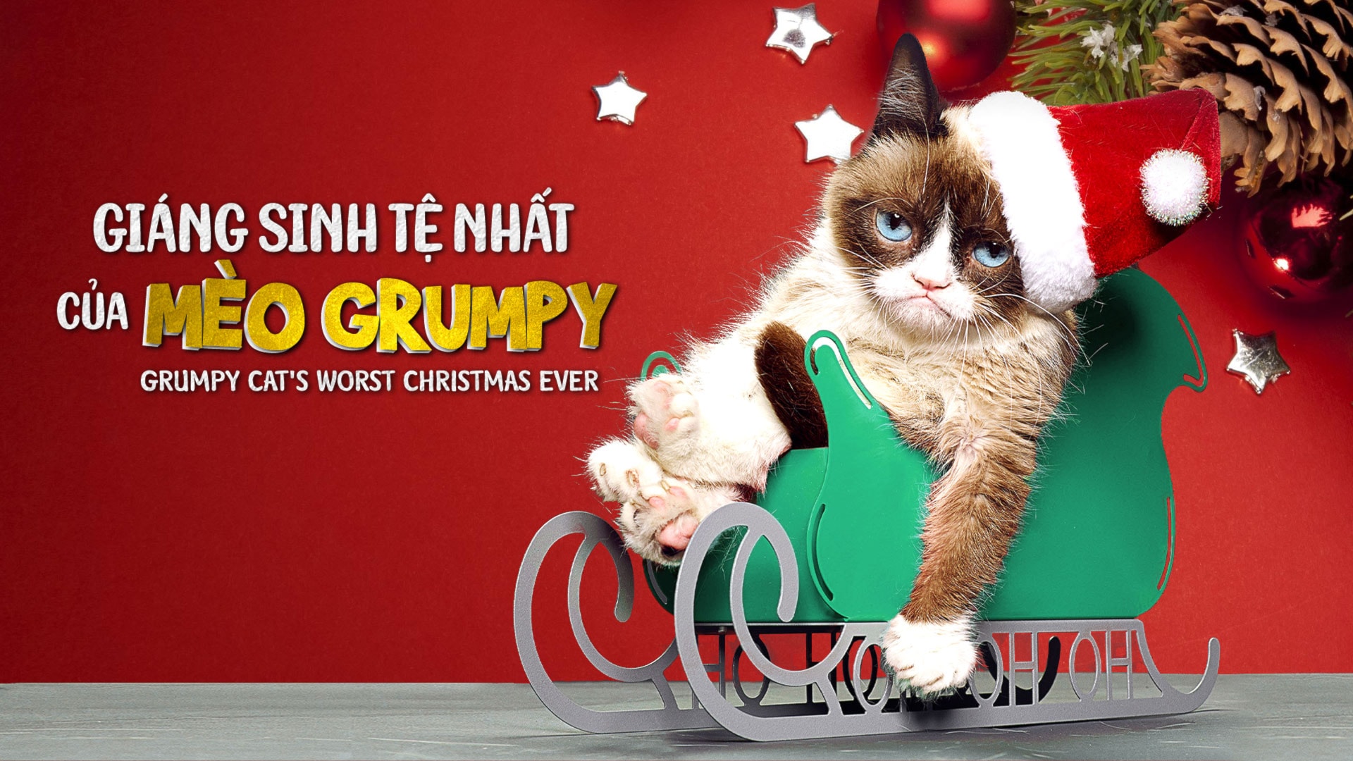 Giáng Sinh tệ nhất của mèo Grumpy